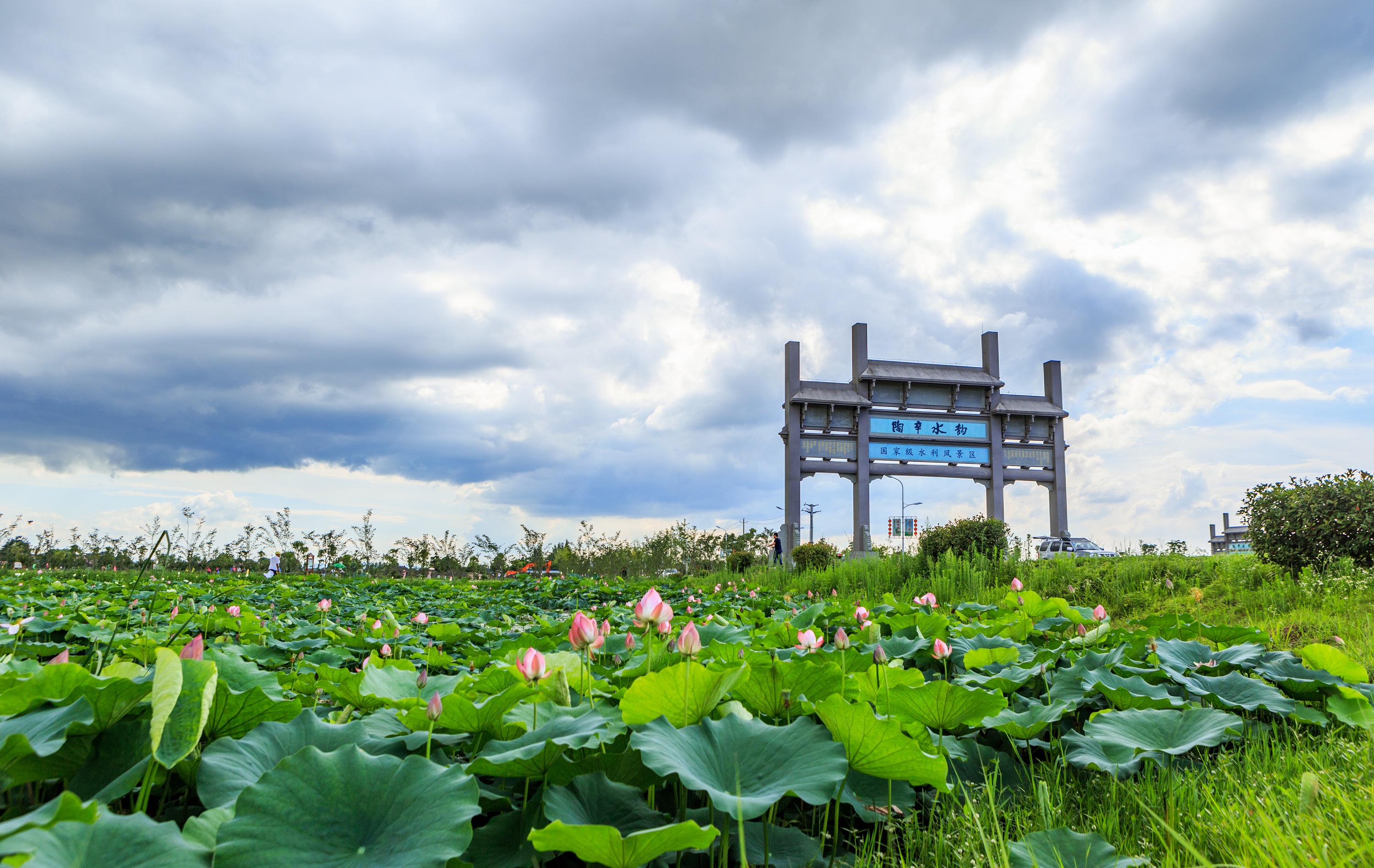 2021芜湖·湾沚半程马拉松赛